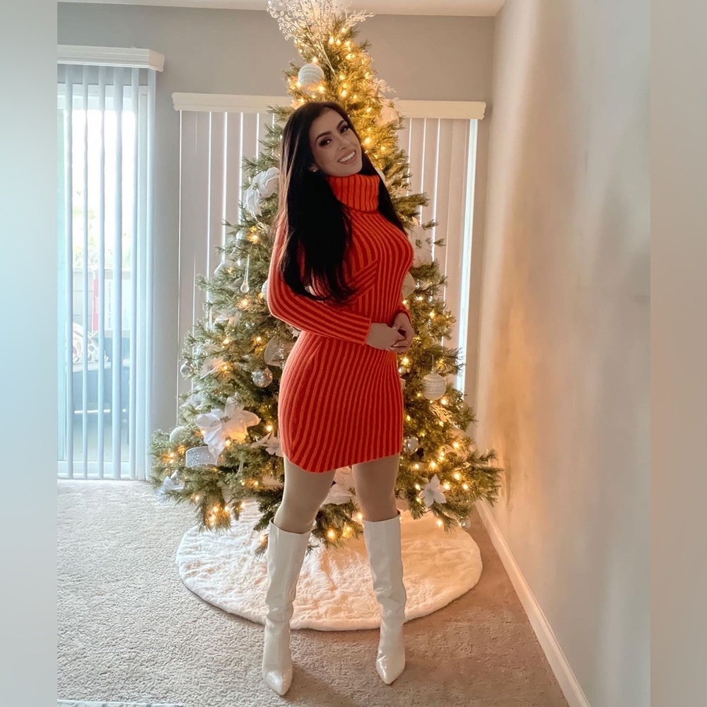 ✨NWT✨ Turtleneck Mini Dress